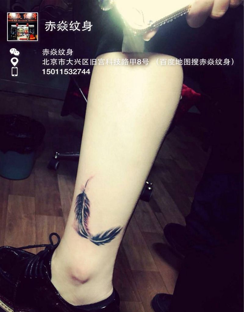 羽毛纹身图片_