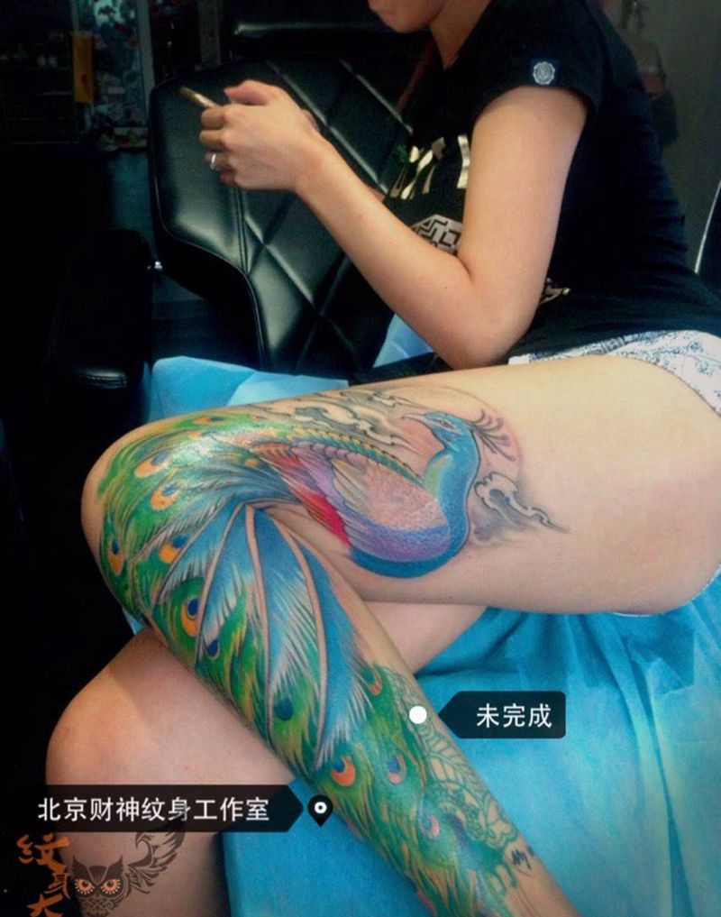 孔雀包腿纹身图片_腿部脚部欧美传统清新动物原创成品纹身图案