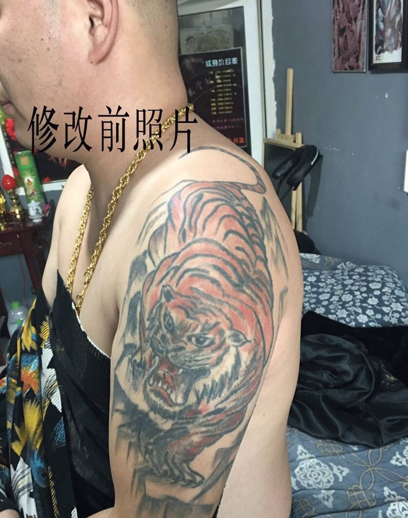 修改失败纹身添加纹身图片_成品胸部肩部传统写实动物原创纹身图案