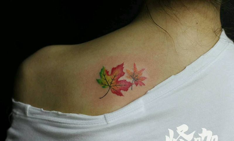 枫叶纹身图片_肩部清新植物原创成品纹身图案