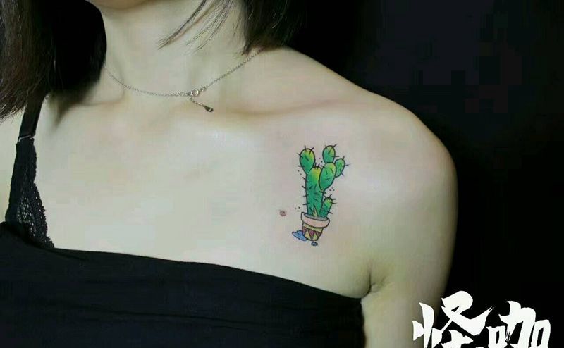 仙人掌纹身图片_肩部清新植物原创成品纹身图案