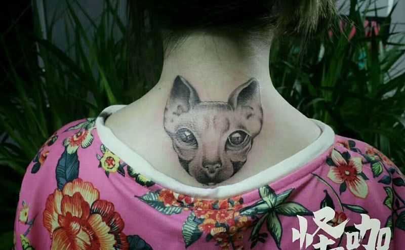 猫纹身图片_背部欧美动物原创成品纹身图案