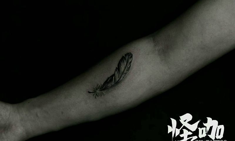 羽毛纹身图片_手臂清新静物原创成品纹身图案