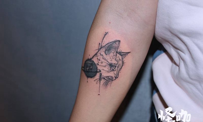 小猫咪能有什么坏心思呢[害羞]纹身图片_手臂纹身图案