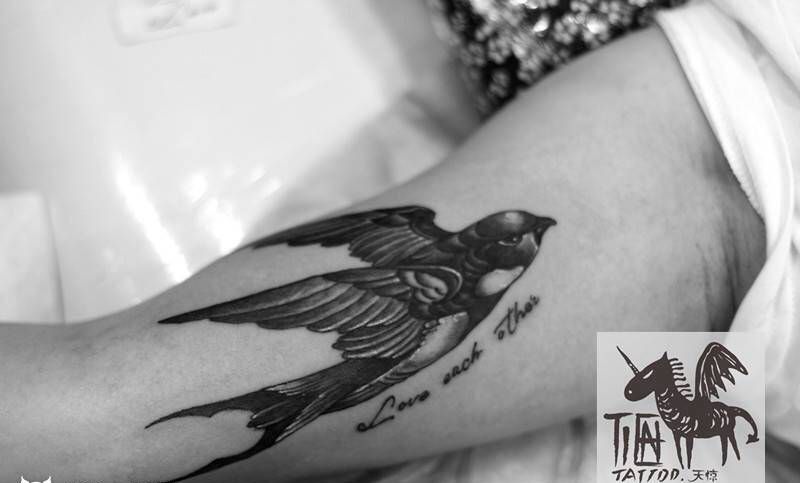 雨中燕纹身图片_成品手臂欧美写实动物原创纹身图案