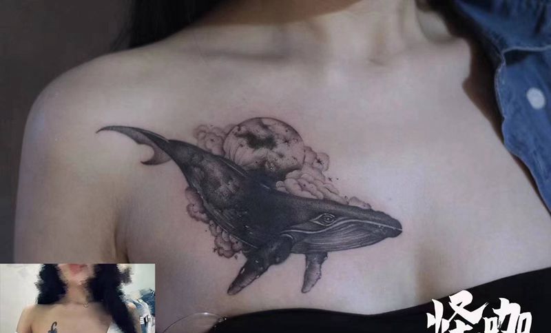 鲸鱼遮盖纹身图片_胸部纹身图案