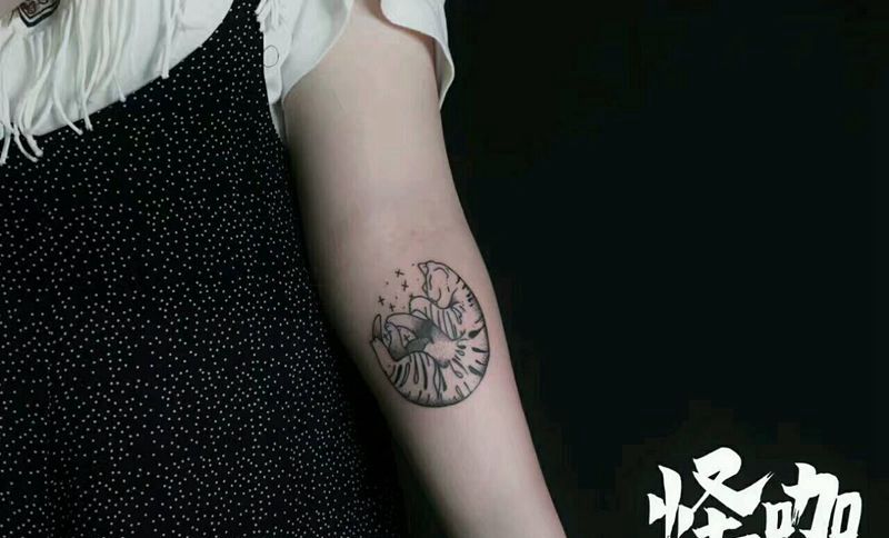 猫纹身图片_手臂清新动物原创成品纹身图案