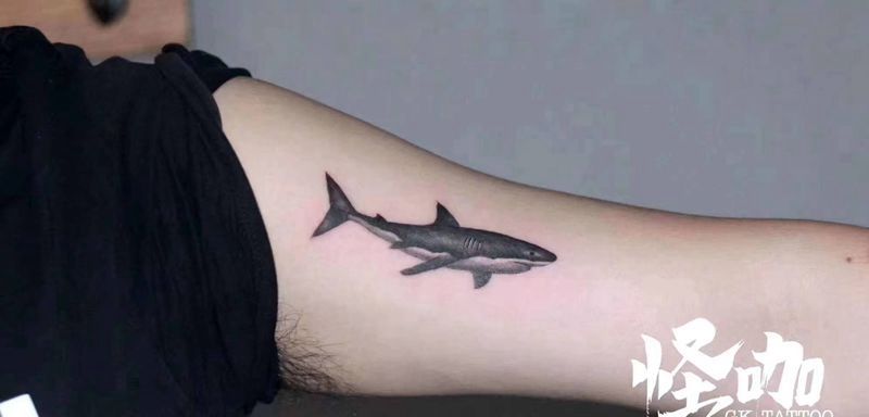 鲨鱼纹身图片_手臂纹身图案