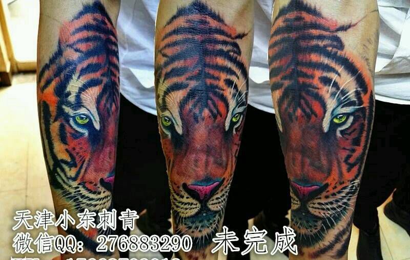 老虎纹身图片_
