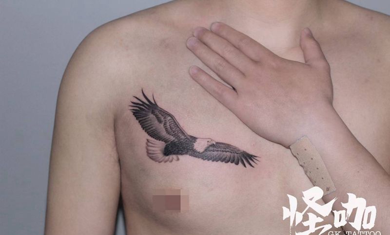 老鹰tattoo纹身图片_胸部纹身图案