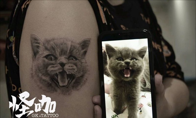 猫纹身图片_手臂纹身图案