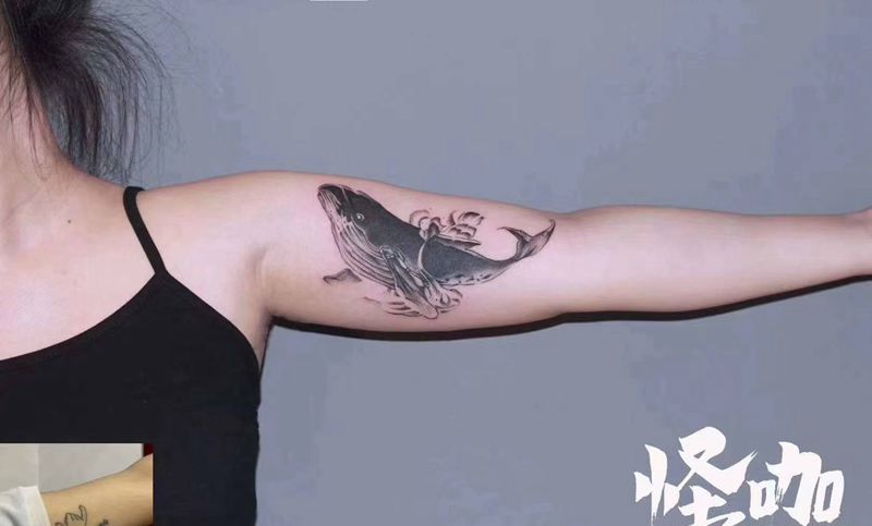 鲸鱼遮盖纹身图片_手臂纹身图案