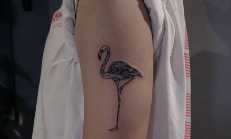 火烈鸟纹身图片_手臂纹身图案