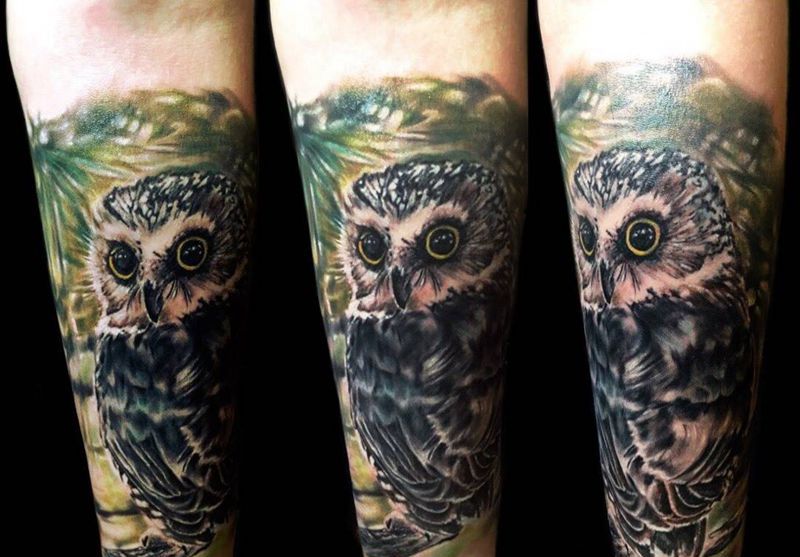 小猫头鹰纹身图片_欧美写实动物成品手臂纹身图案