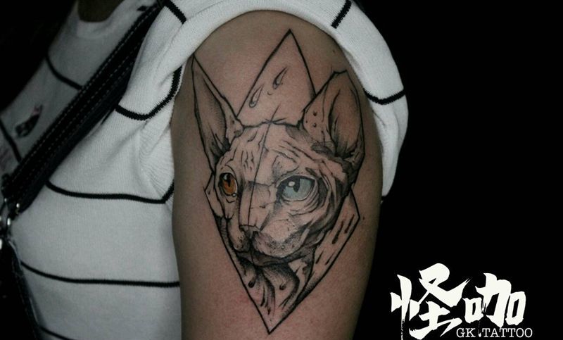 几何猫纹身图片_