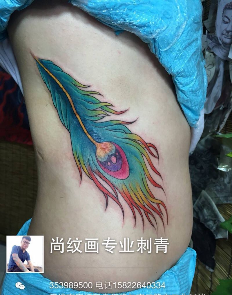 孔雀羽毛纹身图片_