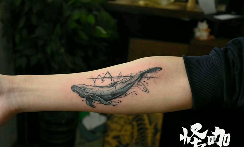 鲸鱼纹身图片_手臂纹身图案