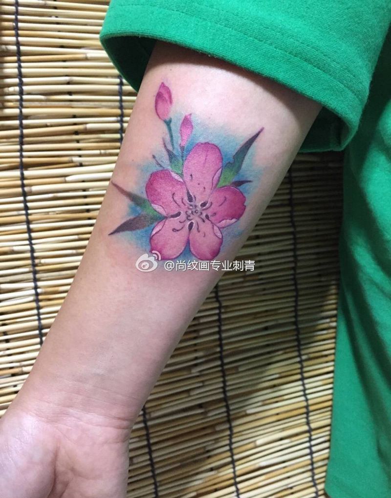 樱花纹身图片_