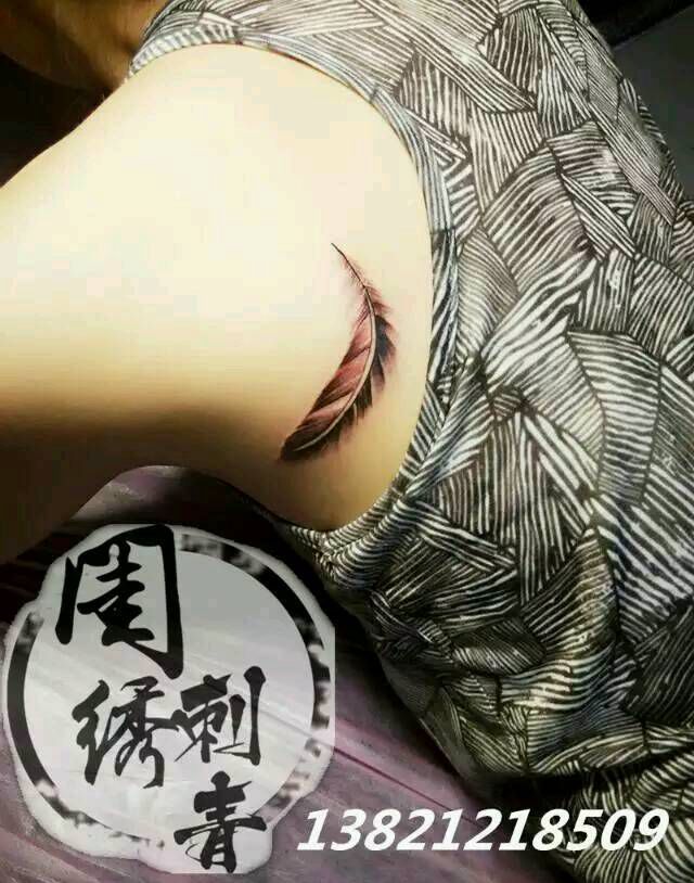 小清新羽毛纹身图片_肩部背部欧美清新植物静物成品纹身图案