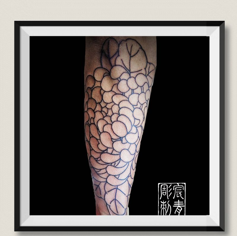 菊花遮盖(线条完成)纹身图片_手臂老传统纹身图案