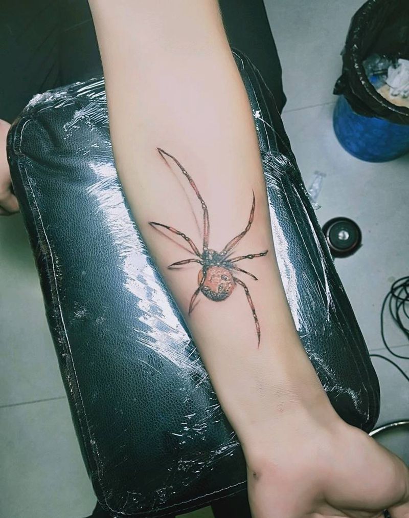 蜘蛛纹身图片_手臂纹身图案