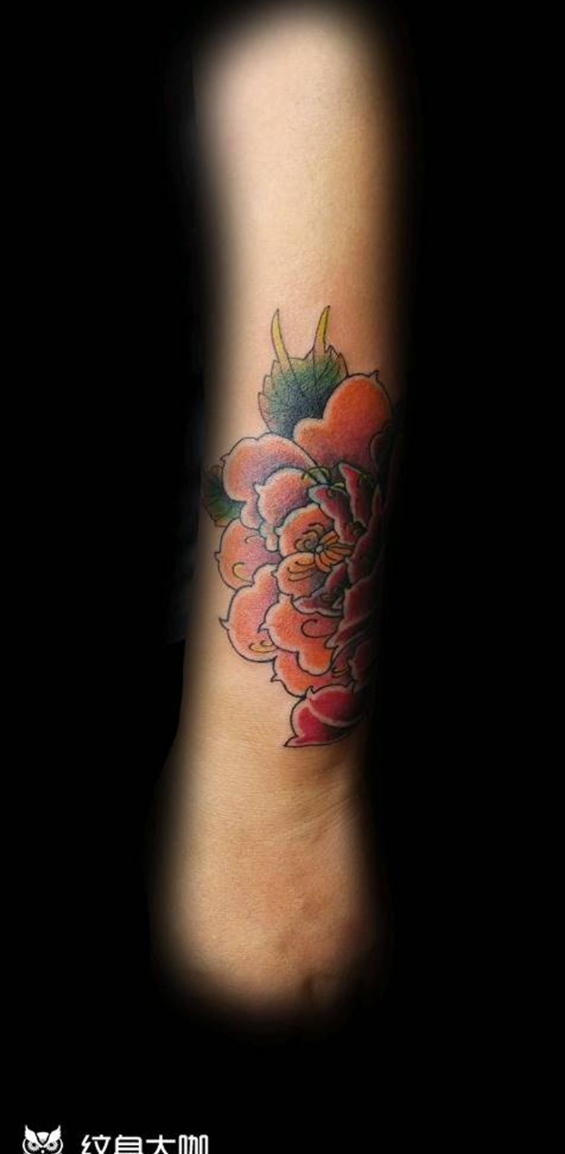牡丹纹身图片