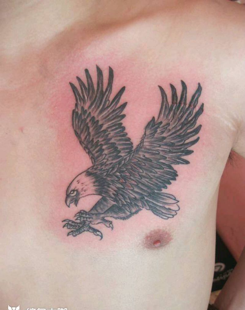 鹰纹身图片