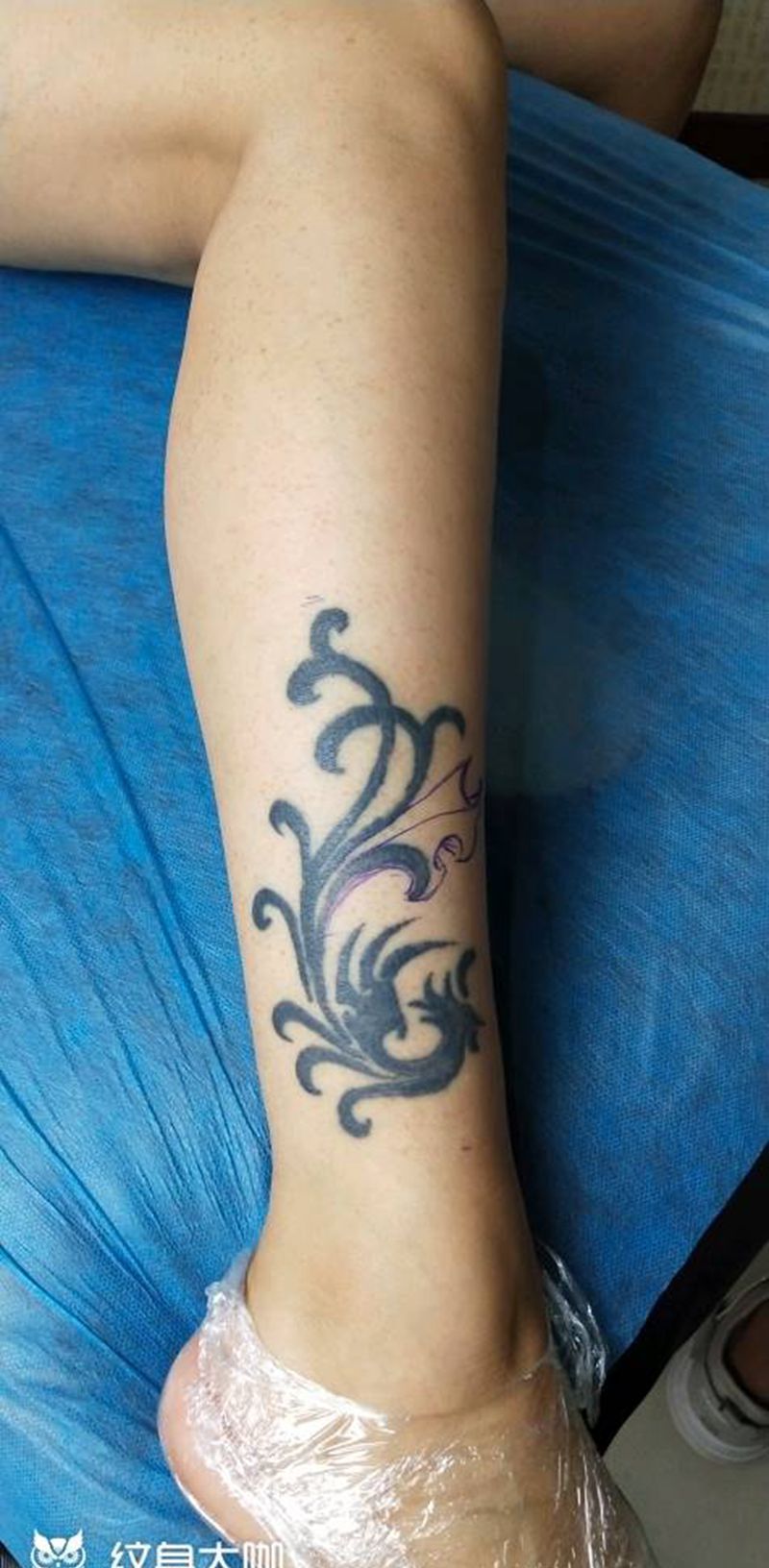 金鱼纹身图片_腿部新传统金鱼纹身图案