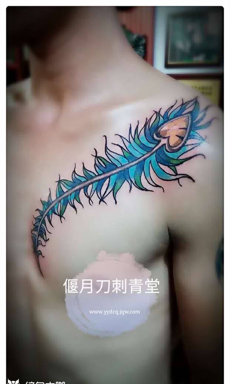 原创羽毛纹身图片_成品手稿胸部欧美原创羽毛纹身图案