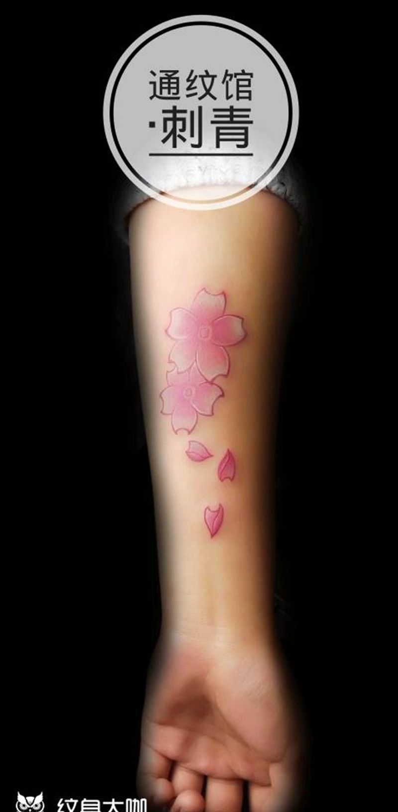 樱花纹身图片