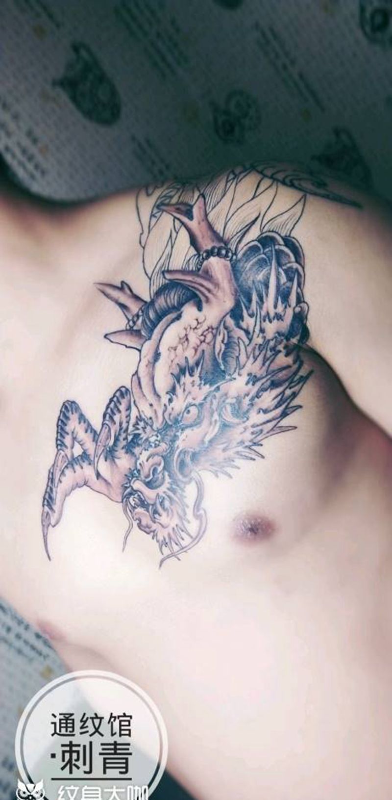 披肩龙纹身图片_胸部背部新传统龙纹身图案