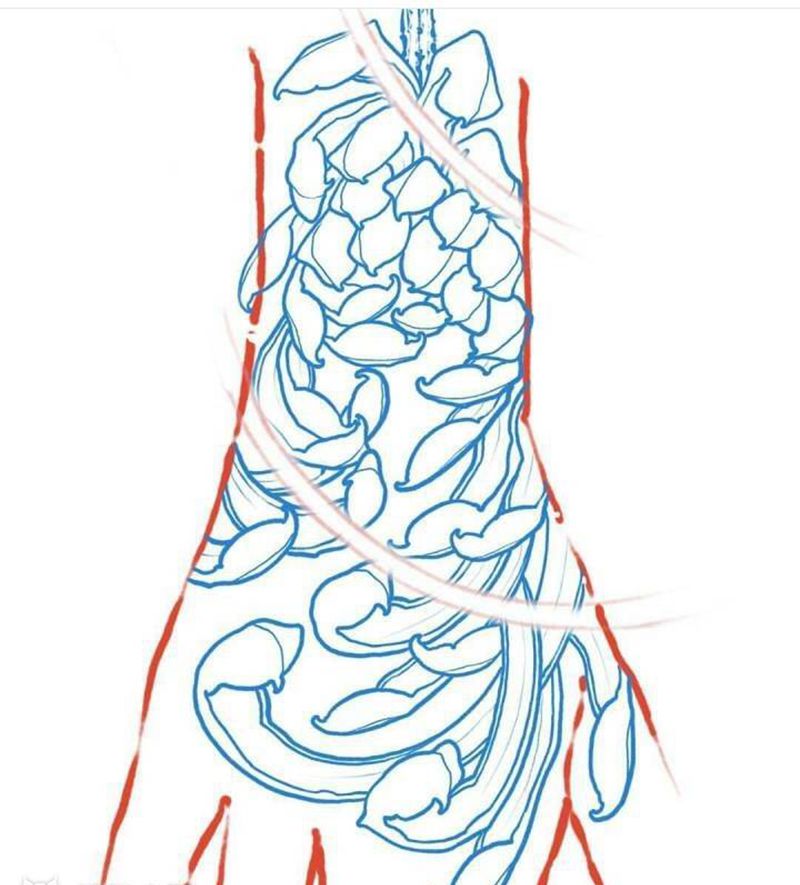 手背菊花纹身图片