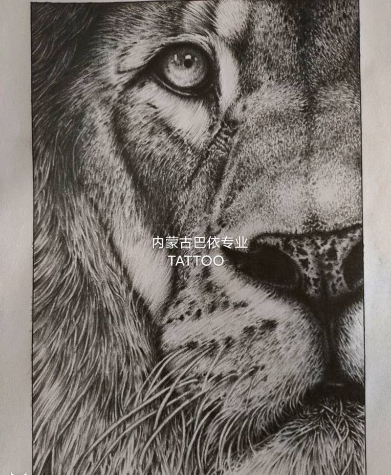 写实狮子头纹身图片_欧美写实狮子手稿自动铅纹身图案