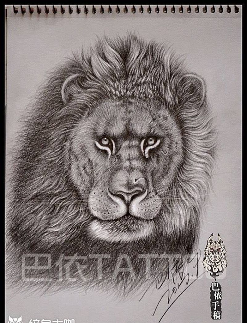 素描狮子纹身图片_巴依纹身内蒙古纹身专业纹身手稿动物纹身图案