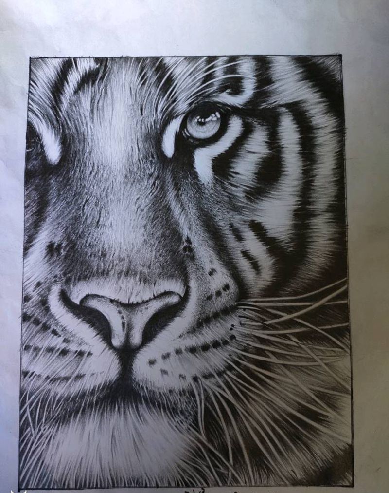 打脑斧纹身图片_欧美写实手稿写实虎头纹身图案