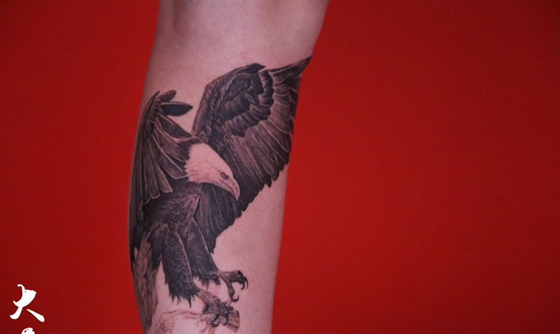 鹰击长空纹身图片_腿部欧美写实纹身图案
