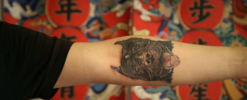 宠物肖像遮盖纹身图片_宠物遮盖狗纹身图案