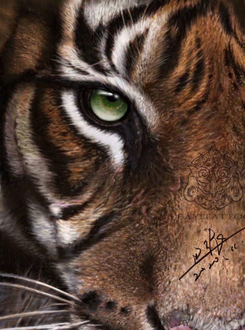 写实老虎局部（艾派）纹身图片_欧美写实平板手绘艾派画纹身图案