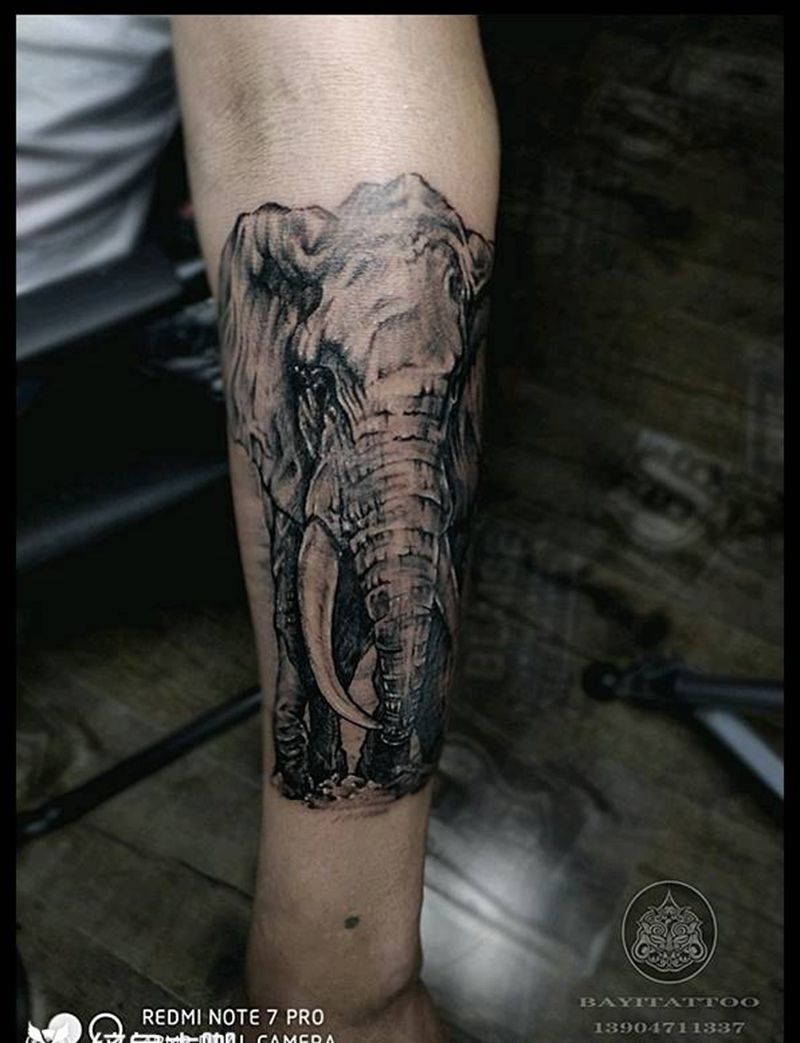 象→遮盖疤痕纹身图片_手臂欧美写实大象疤痕遮盖纹身图案
