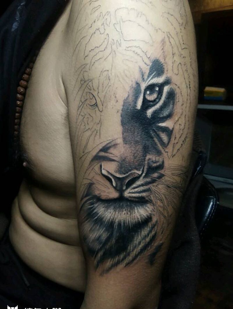 窥纹身图片_肩部欧美写实动物内蒙古纹呼市巴依纹身图案