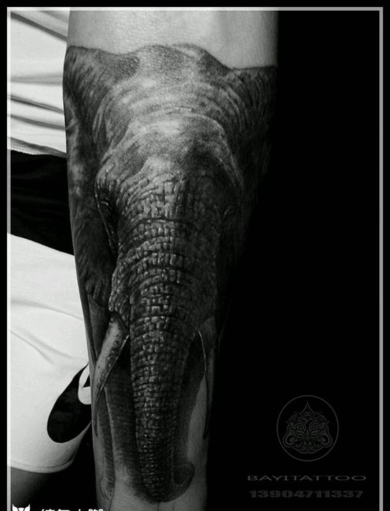 写实象纹身图片_欧美写实动物原创内蒙古纹呼市巴依纹身图案