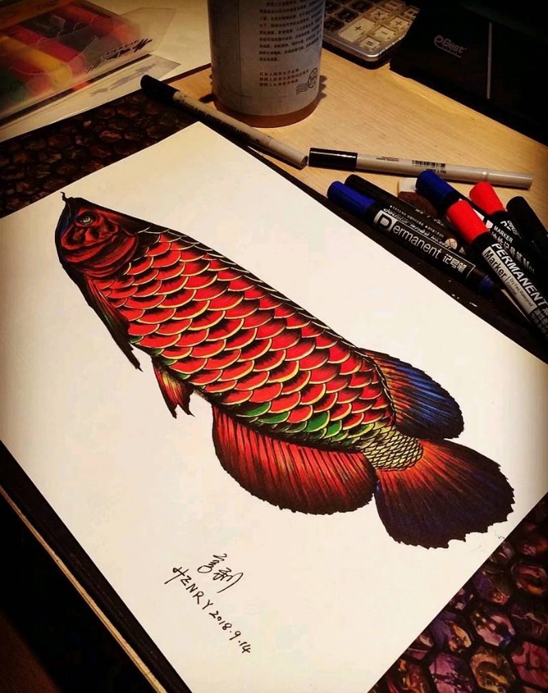 红龙鱼纹身图片_背部胸部新传统欧美写实纹身图案