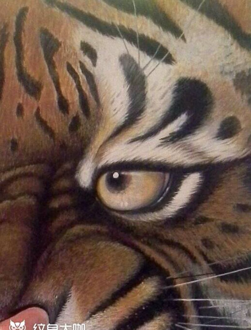 写实丙烯老虎头纹身图片_写实动物巴依纹身专业纹身手稿纹身图案