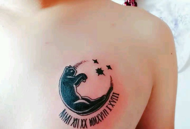 情侣猫咪纹身图片_胸部猫纹身图案