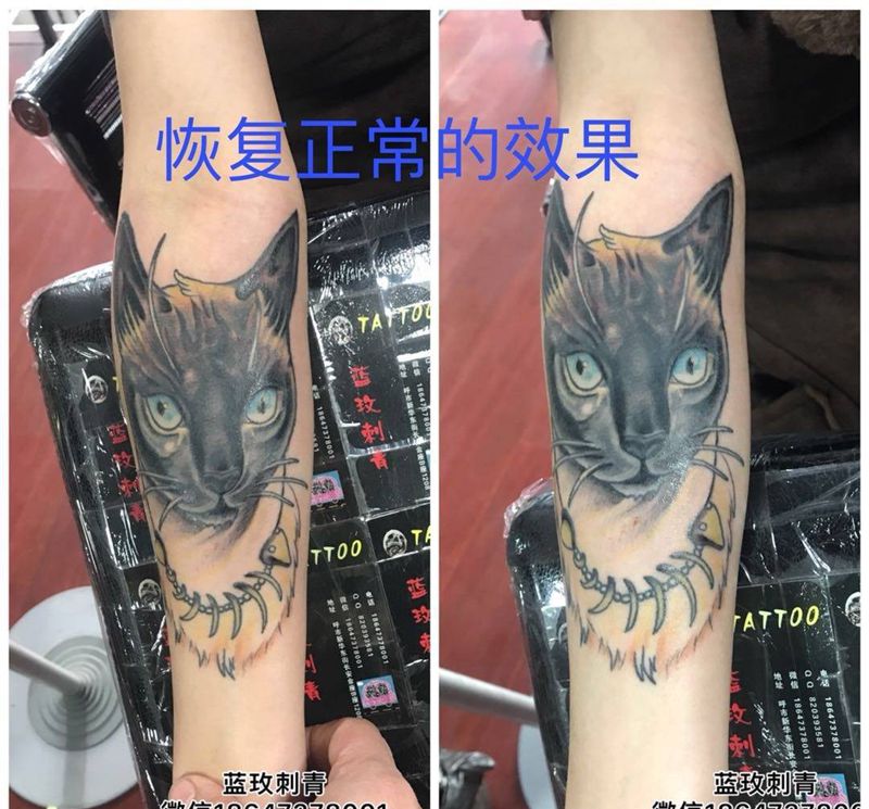 猫纹身图片