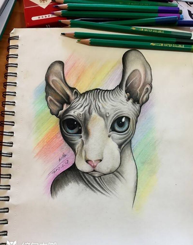 斯芬克斯纹身图片_巴依内蒙古专业手稿动物纹身图案