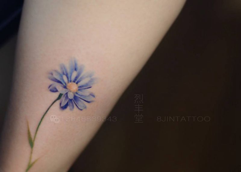 蓝色雏菊纹身图片_插画腿部清新写实植物花朵纹身图案