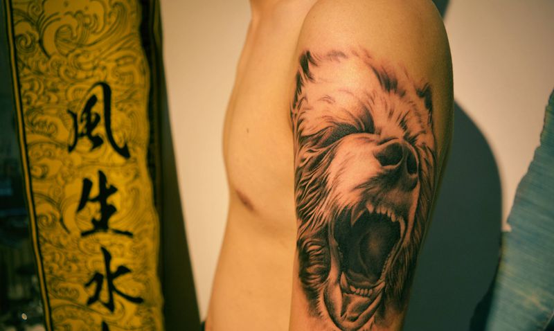 熊纹身图片_肩部手臂新传统欧美写实纹身图案