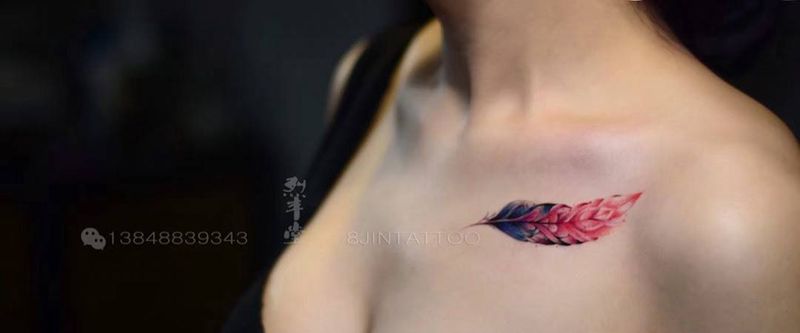 色彩羽毛纹身图片_插画胸部清新植物羽毛纹身图案