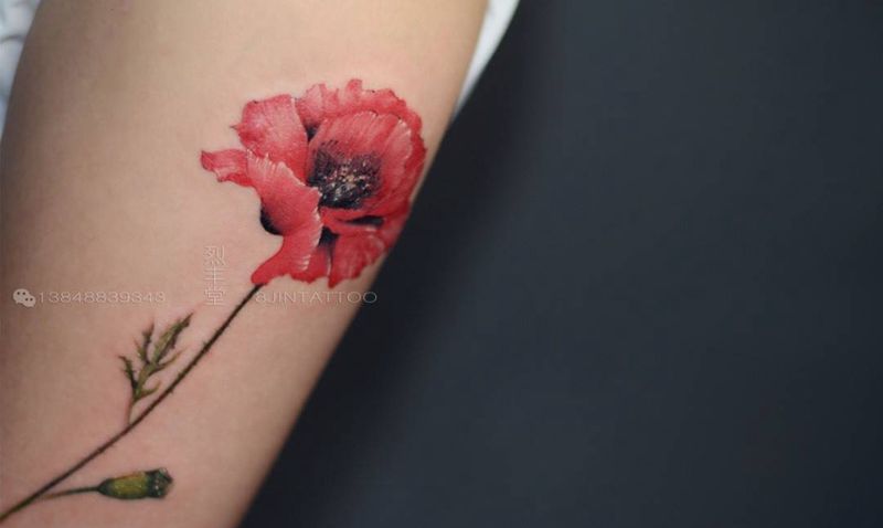 罂粟花纹身图片_插画手臂写实清新植物罂粟花花朵纹身图案